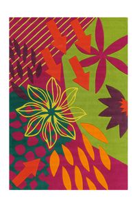 Teppich Amazonas 155016 Multi