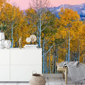 Fototapete Birches and Mountains DD118912 A.S. Création Designwalls