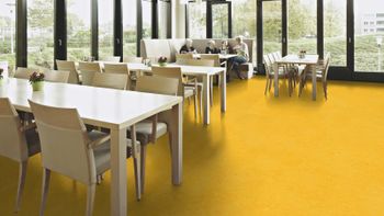 Forbo Marmoleum Fresco "3251 Lemon Zest" (2,5 mm)