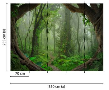 3D-Fototapete mit Urwald | 3,50 x 2,55 m