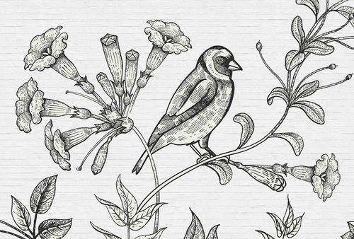 Fototapete birdy 1 DD110416 Livingwalls Walls by Patel