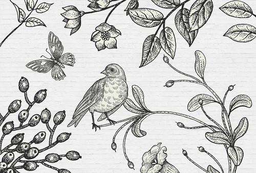Fototapete birdy 2 DD110421 Livingwalls Walls by Patel