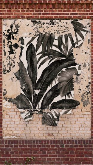 Livingwalls The Wall II | 392451