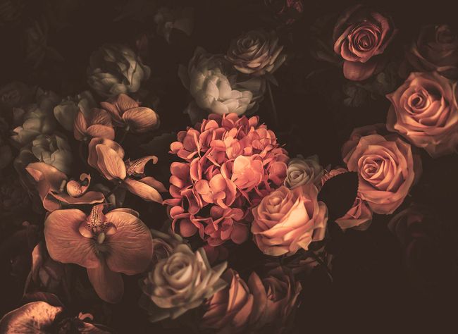 Fototapete RomanticFlowers2 DD118512 A.S. Création Designwalls