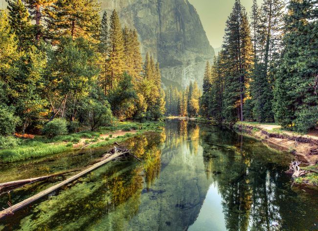 Grüne Fototapete Berge im Wald | 3,50 x 2,55 m