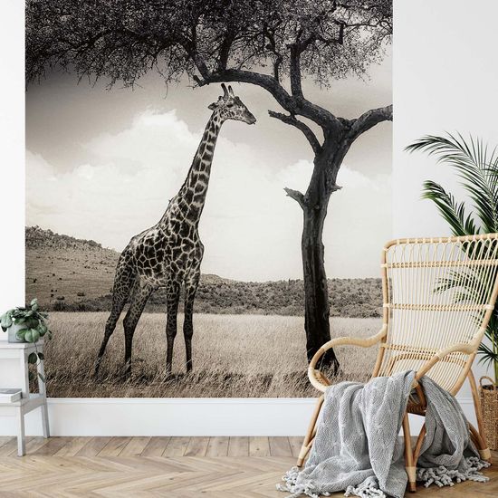 Fototapete Giraffe Safari DD119075 A.S. Création Designwalls