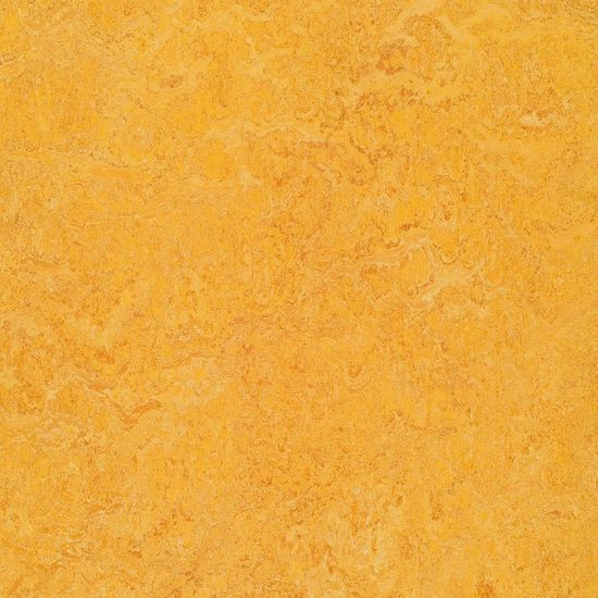Forbo Marmoleum Real "3225 Dandelion" (2,5 mm)