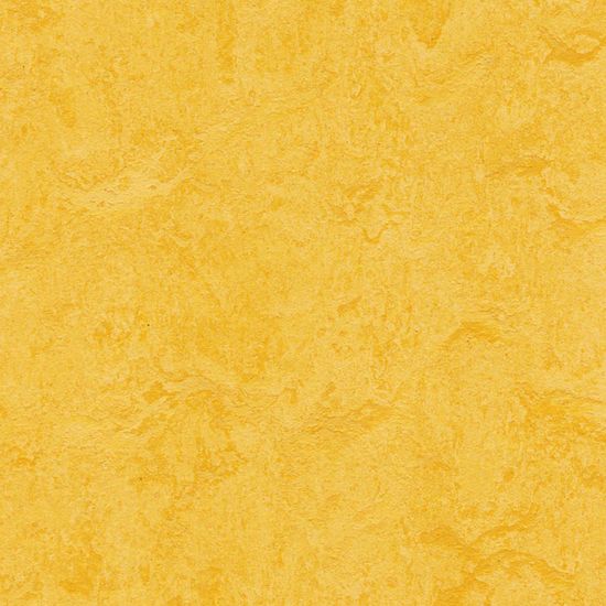 Forbo Marmoleum Modular Colour "t3251 lemon zest" (50 x 50 cm)