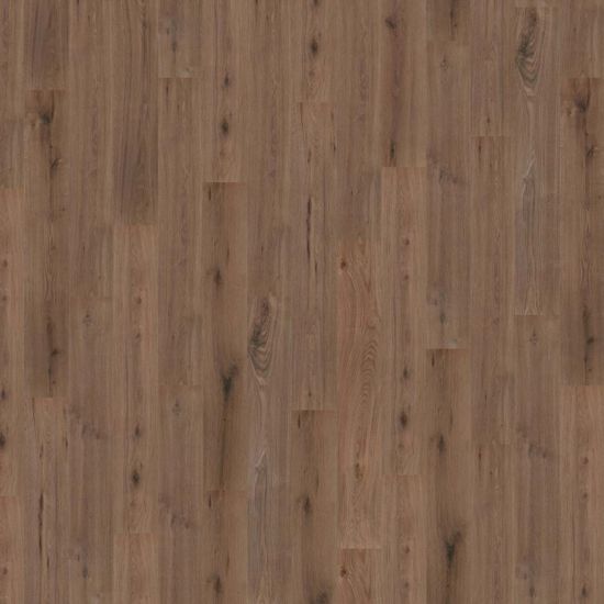 Wineo 1000 Wood L | Klebe-Bioboden "Strong Oak Cappuccino"