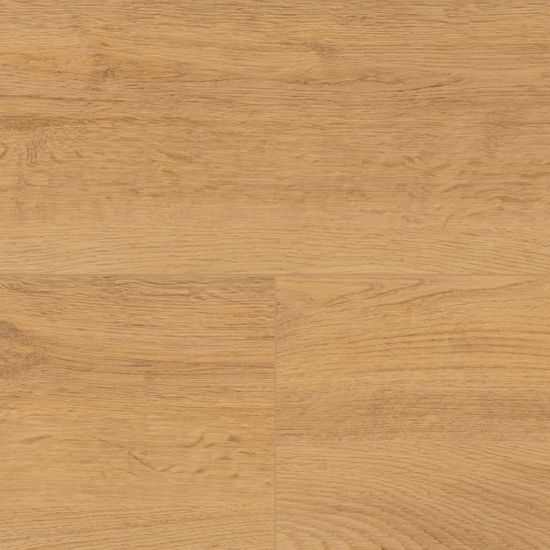 Wineo 1200 Wood XL | Klebe-Bioboden "Let's go Max"